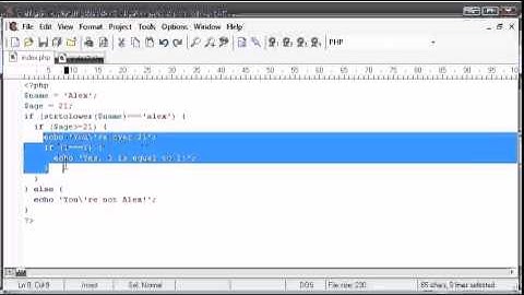 8   Indentation   PHP Tutorials