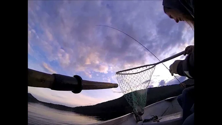 Catching a Rainbow Trout With a Fly at Knouff Lake