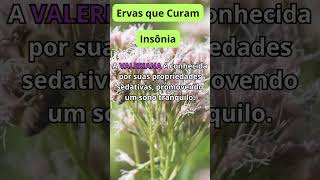 DIFICULDADES PARA DORMIR? ESTÁ COM INSÔNIA? Consuma VALERIANA. #brasil #receitas #saude