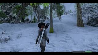 SKYRIM - OAR custom conditions - Armor Specific Movesets 1440p Next Gen Graphics Ultra Modded 2024