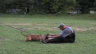 BITE WORK WITH MIKE SUTTLE