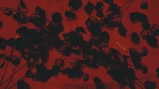 11. Niink - Me Tornei Ruim Ft. Kidwild Edr