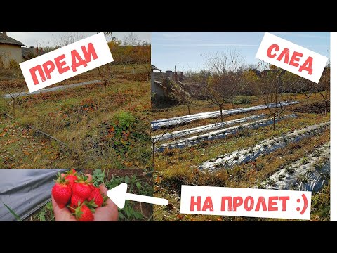 Видео: Как да имате хранителен вестник: 14 стъпки (със снимки)