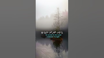 #قران_كريم #راحة_نفسية #تلاوة_خاشعة #اللهم_صل_وسلم_على_نبينا_محمد #اكسبلور