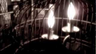 All My Life | Teaser Video Vignette