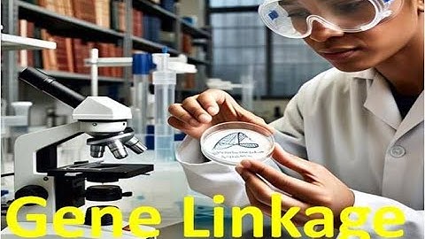 Gene Linkage I gene linkage and crossing over I