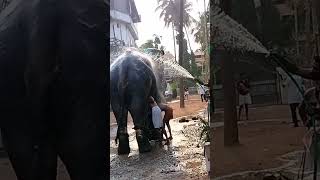 പപപൻ വളള ഒഴചകണടരകകമപൾ മററ പപപൻമർ കലൽ ഉരകകനന വഡയ.