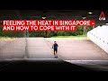 Feeling the heat in Singapore - and how to cope with it