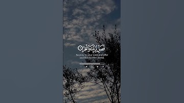 أكتب شيء ما تؤجر عليه 🤍🍃سورة الكوثر #قرآن  #القارئ #عبدالرحمن_مسعد