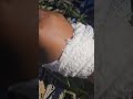 Mshona Nguo Kiboko Mshona Nguo Kiboko