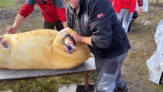 🐷Slaughtering the Pig - Romanian traditions and customs