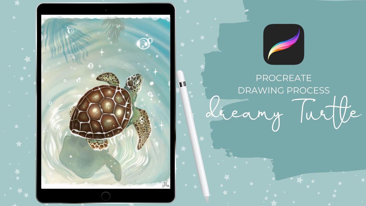 Procreate drawing Process dreamy Turtle from sketch to finished
