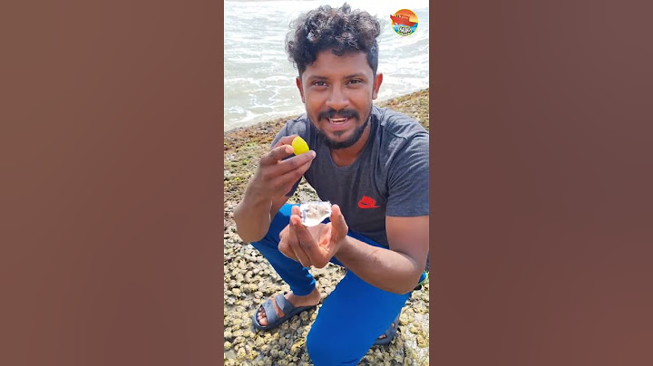 ഓയിസ്റ്റർ കുരുമുളകും നാരങ്ങയും ഒഴിച്ച് പച്ചക്ക് കഴിച്ചപ്പോൾ|Oyster Raw Eating