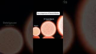Size Comparison of Celestial Bodies 🤯🌌 | From Moon to Galaxies #universe #spacefacts #spaceexplained
