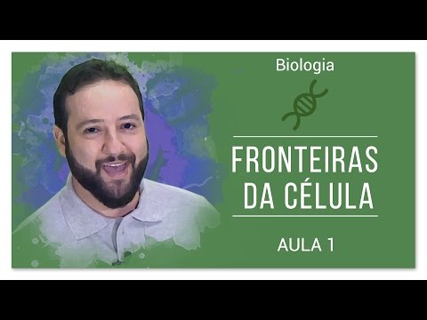 Vídeo: Qual célula não requer energia?