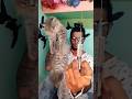 meow meow meow... injection comedy minivlog in Persian cat...#meow #injectioncomedyvideo #tamilreels