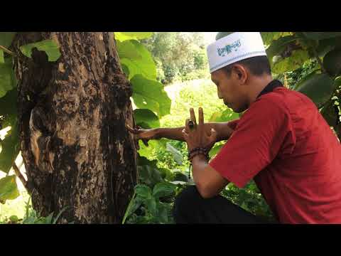 Tes uji cincin batu alam (natural stone ring test). 