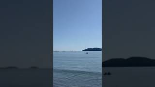 #приморье Хасанский район, вода ещё тёплая 👍 11 сентября