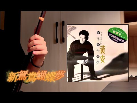 《新鴛鴦蝴蝶夢》《包青天插曲》 - 黃安｜二胡演奏 by 哈哈二胡 ｜Erhu cover by Hahaerhu｜ 4K