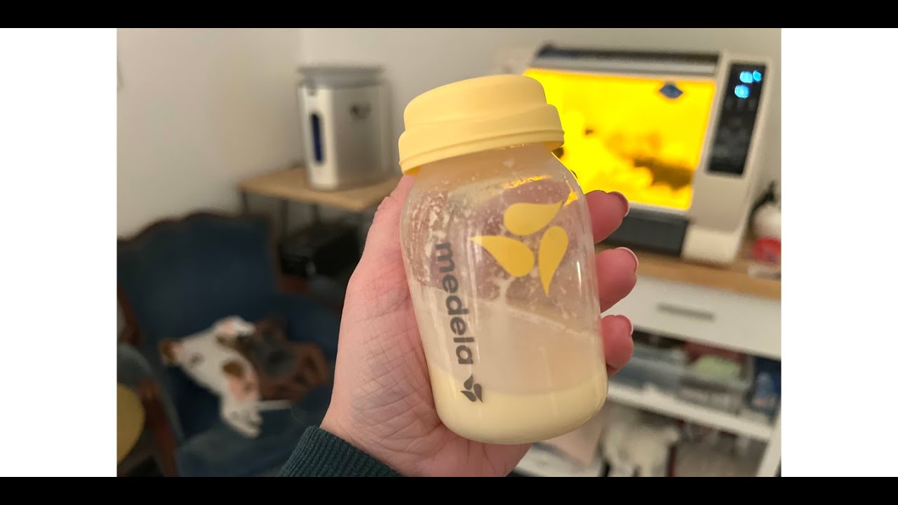 Домашняя смесь для щенков "Leerburg". Процесс приготовления и рецепт от специалиста по выхаживани...