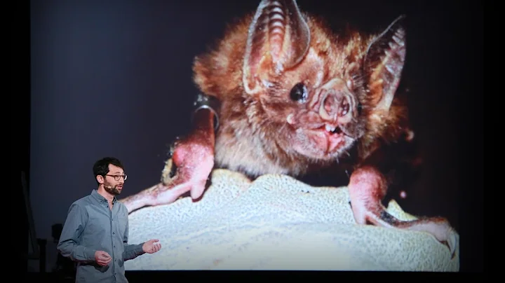 What vaccinating vampire bats can teach us about p...