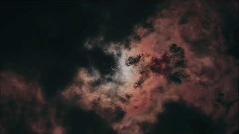 تلاوة هادئة بقمة العذوبة تُريح القلوب أجمل ماسمعت لاتوصف