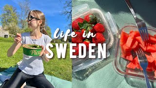 What May looks like so far | Living in Sweden