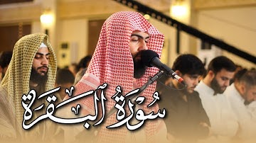 تلاوة هادئة ما تيسر من سورة البقرة القارئ محمد جلال الكردي
