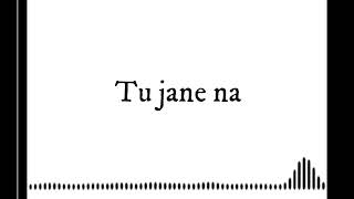 Tu Jane Na Guitar Cover