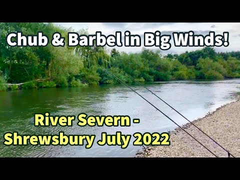 BIG Chub & Barbel.. River Severn Fishing - Shrewsbury in BIG WINDS..!! July 2022 EP10