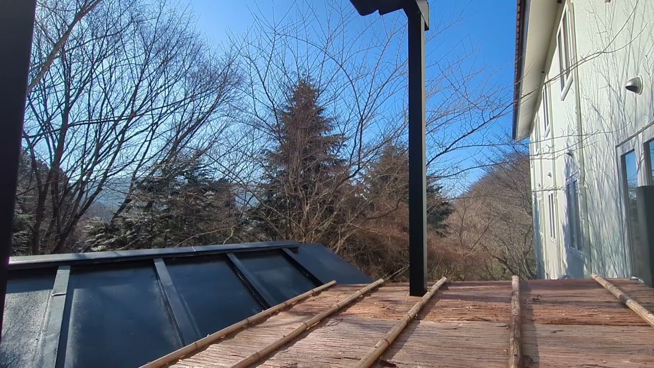 箱根　旅館　蔵樹　箱根神社の神域　通勤中に聞くだけで1日が幸せに満ちる　2026/02/14　箱根蔵樹から風景と自然のBGM