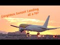Gorgeous sunset landing of DHL - 767 | [4k]