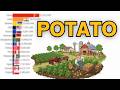 World's Largest Potato Producers by Metric Tons 1961 to 2026