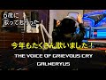[ Vocal Cover ] 6歳児が GALNERYUS の THE VOICE OF GRIEVOUS CRY を覚えたので歌ってもらった : 6-year-old boy ガルネリウス