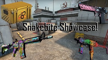 Snakebite Case Showcase & I Got A Lucky Case Drop | CSGO 2021