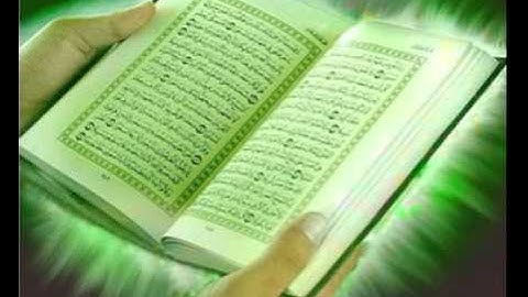 الشيخ وليد الدليمي قران كريم sheikh walid al-dulaimi holy quran