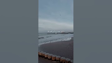 وَاسْتَعِينُوا بِالصَّبْرِ وَالصَّلَاةِ ۚ|سورة البقرة| عبد الرحمن مسعد