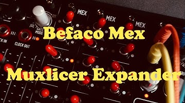 Befaco MEX (Muxlicer Expander)