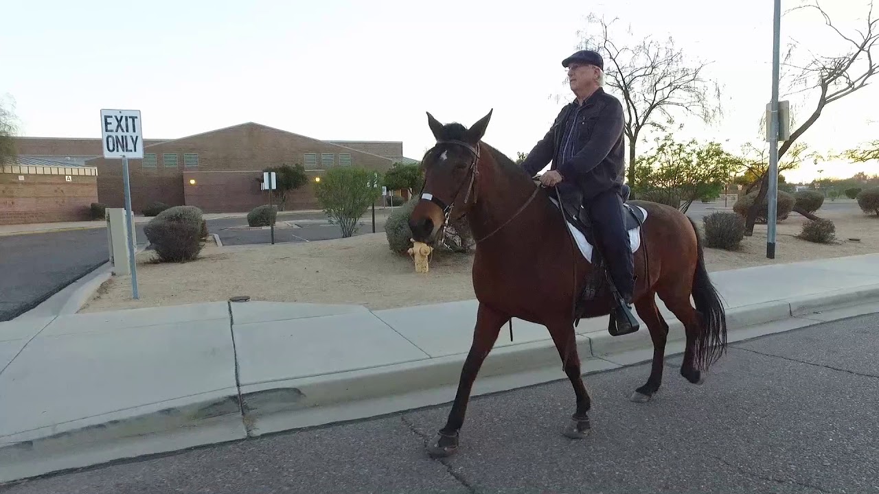 Marchador Lateral Gait Demo