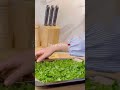 عندك معدنوس بقدونس في البيت جيبي كسكاس و أجي نوريك شنو ديري به رافقي به جميع المأكولات بلا مايفسد