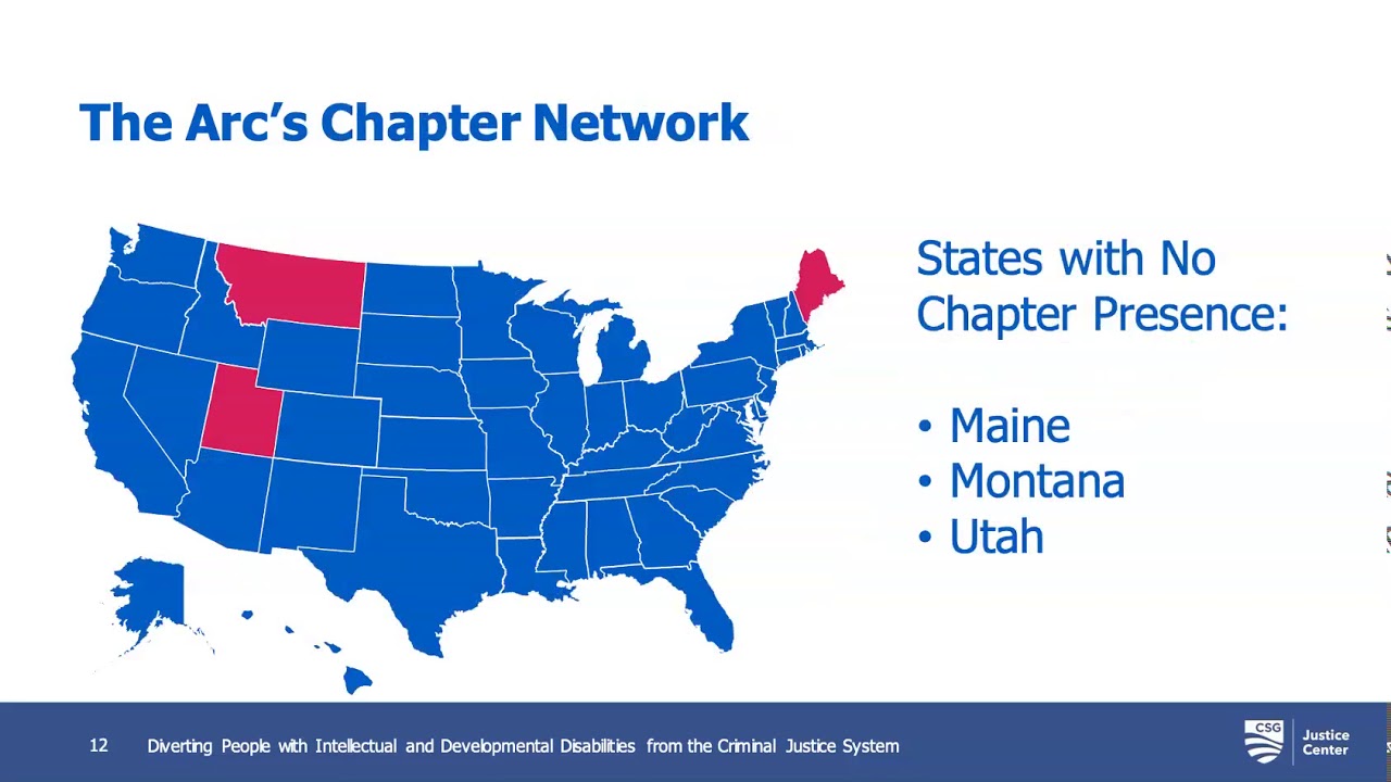 Diverting People with Intellectual and Developmental Disabilities from the Criminal Justice System