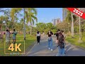 Bangkok, Thailand 🇹🇭 A Walk in Chatuchak Park | กรุงเทพ ,ประเทศไทย | Virtual Walking 2023