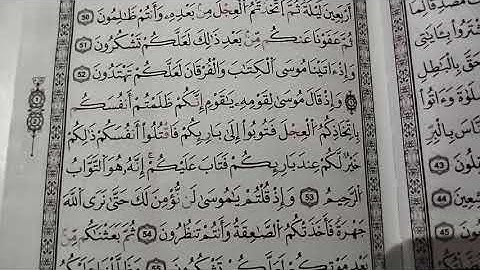 تصحيح التلاوة مع الشيخة نادية _سورة البقرة # learn coran#