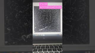 Stream ordering in Arc Gis