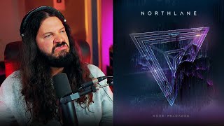 Metalbirb Reacts Northlane Rotexe