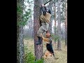 Смешные Видео Приколы с Котами. Смешные Коты до Слез. Смешные Животные 2019. #24