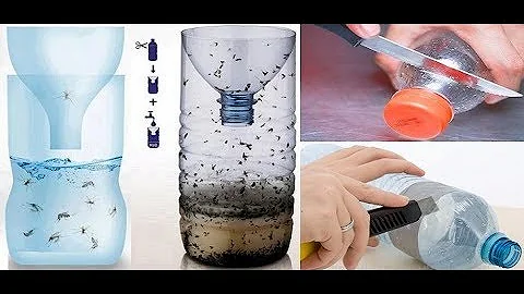 Cosa attira di più le mosche?