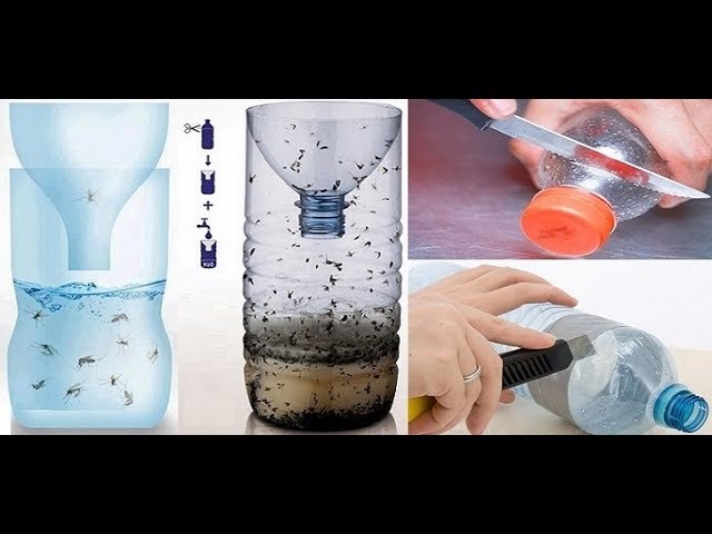 Trappola per mosche fai da te - metodo con bottiglia [TheWikiShow] - YouTube