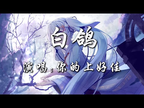 【白鸽 - 你的上好佳】『教堂的白鸽不会亲吻乌鸦 就像我配不上星空下的他』|热门歌曲|歌曲排行|抖音歌曲|kkbox|动态歌词Lyrics