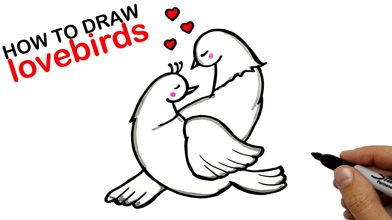 Drawing for Valentine's Day. How to draw lovebirds. Yulka Art drawings